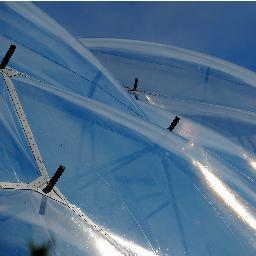 safetynet12's profile picture. 