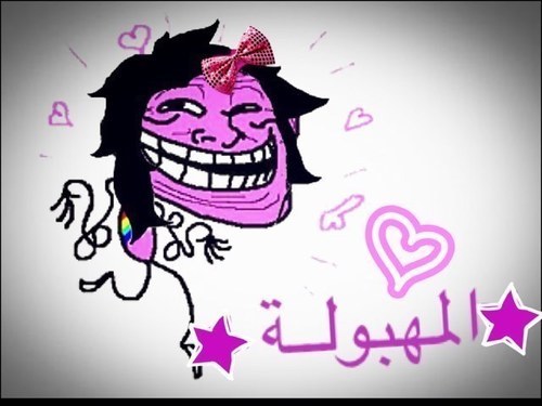 follow back