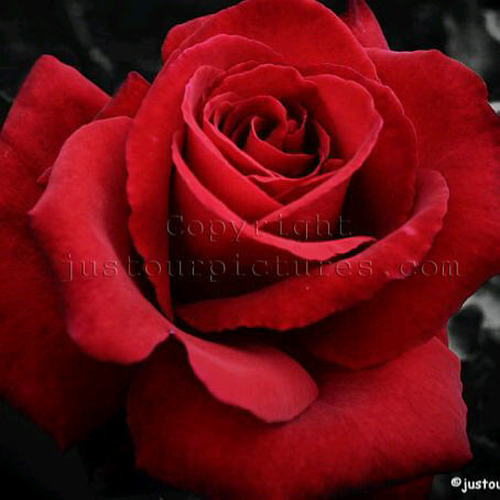 ugly_ali's profile picture. 