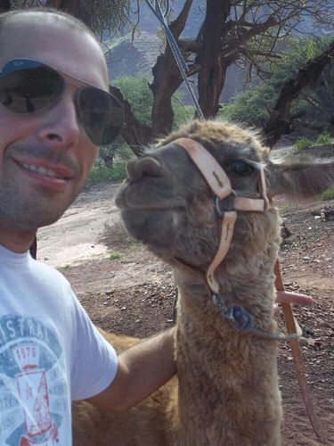 crossello's profile picture. Viviendo la vida.