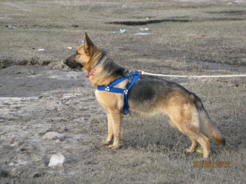 eemartin04's profile picture. 