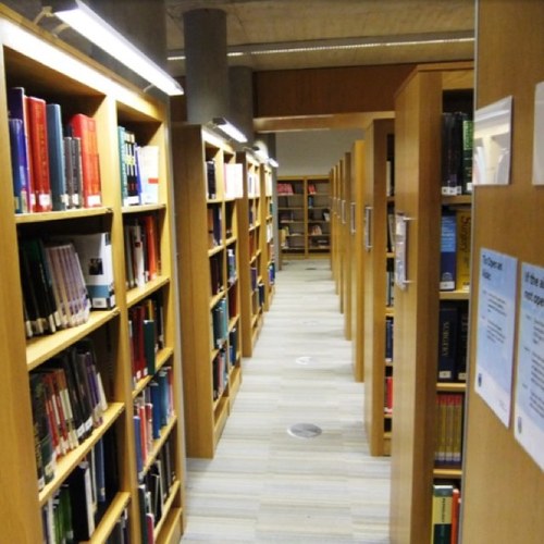 SpottedUCD's profile picture. 