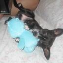 Katherine Vu - @ksv94 - Twitter