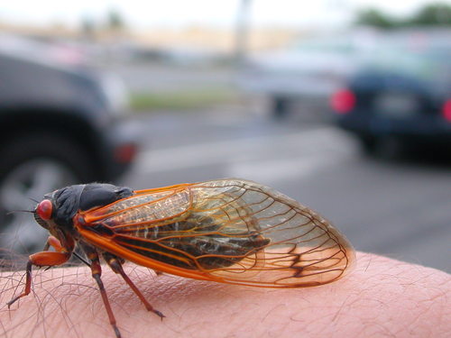 pmvogel's profile picture. I retired at 47