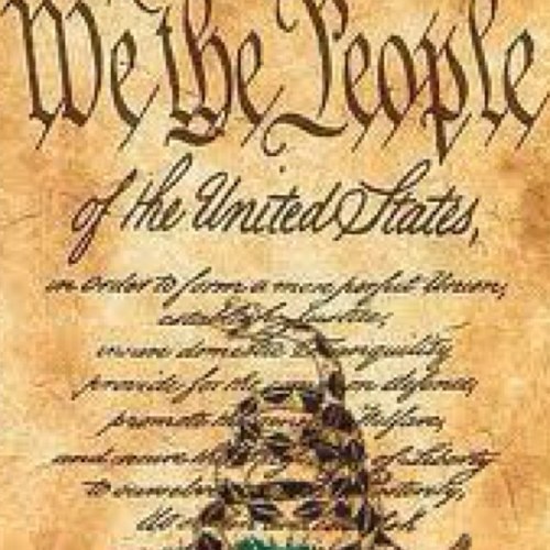 wmitchel51's profile picture. 