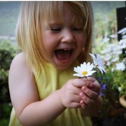 docedolcevita's profile picture. Viver e n ter a vergonha de ser feliz!!!!