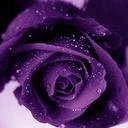 christina keefer - @cdk70 - Twitter