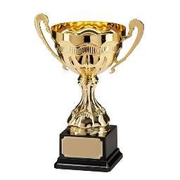 Quality Trophies Supplied , Big Discounts , In-house Engraving , Quality and Friendly Service