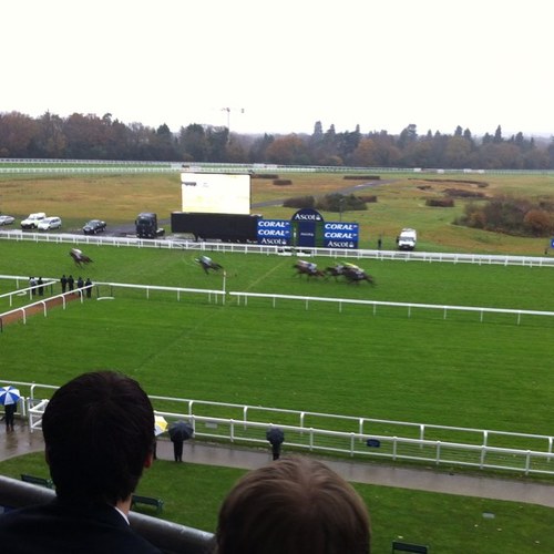 BestoddsG's profile picture. http://t.co/p4A5NGUC1s is the ultimate authority on the UK & Ireland's favourite racing concession!