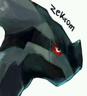 PokeGod_Zekrom's profile picture. It is your will... That shall bring your ideal to life! ||RP, Multiverse, 16+, #Trainer: @DatPrettyWriter||
