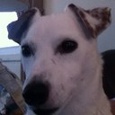 Ed fleming - @fleming_ed - Twitter