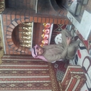 ناشي بن ناصر (@055777041570) Twitter