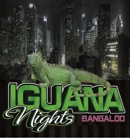 Iguana Nights. Todos los Jueves a partir de las 23.30h la mejor fiesta en Bangaloo (Gral. Perón, 29 esq. Capitan Haya)