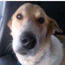 Jenna Crowder - @Jenna_Crowder - Twitter