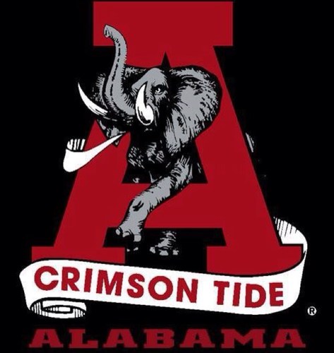 RollTideMike's profile picture. Work, ride, sleep, eat, family time, repeat...