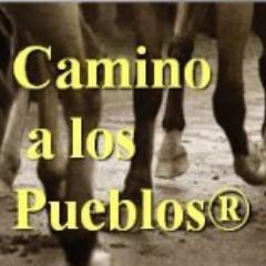 caminoalospuebl's profile picture. 