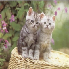 How cn I deny the feling?