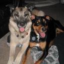 Katarina Nelson - @RandomMtnLife - Twitter