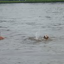 David Albin - @dhalbin - Twitter