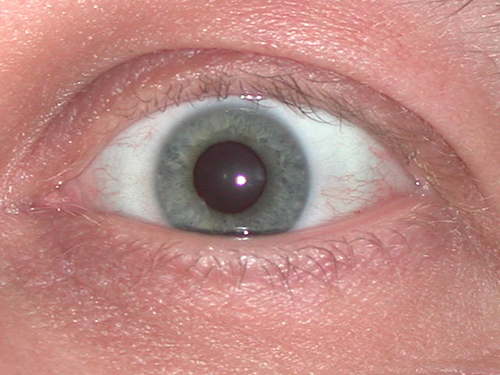 weird_neighbor's profile picture. I eat, drink, fart, walk around the house in my underwear and scratch myself. Doesn't everyone?