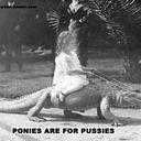 Zach Guy - @zacharylee62 - Twitter