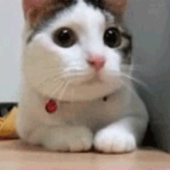 adanqet's profile picture. Ilmy life ... My son maters most , lving my j&j nigga ! Fa dem i'll ride fa dem i'll die (: sleepy my lover n janero my soulmate ツ