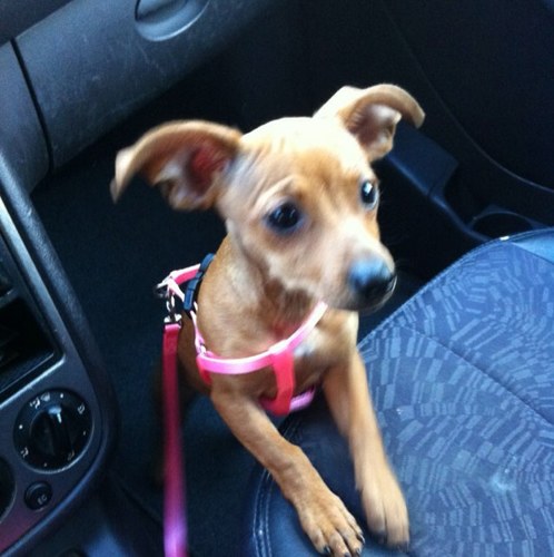 massimopepita's profile picture. 