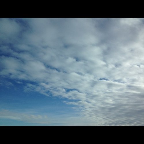 supportfail's profile picture. 