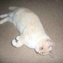 ellenm1953's profile picture. 