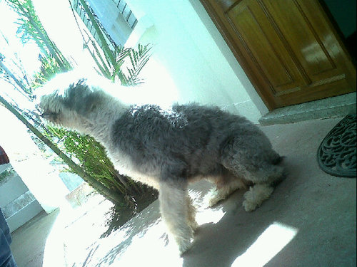 yotedifundo's profile picture. Contra el sistema cotidiano, politico-protestante!!!