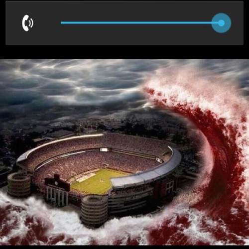 carey_hawkins's profile picture. 