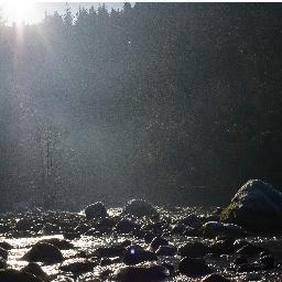 LazyArt_Studio's profile picture. 