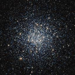 paranoidtears's profile picture. don't know