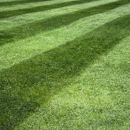 Owner and Operator of Jackson MI based lawn, landscape, and snow removal company Greener Solutions Lawn and Landscape.