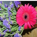 eliza - @eliza_booth - Twitter