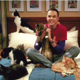 Sheldon ?  Fcs: @LuuMellPhiia @LuaMyOrgulho #Dona @GabriielaRock ~Since 03/08/2012