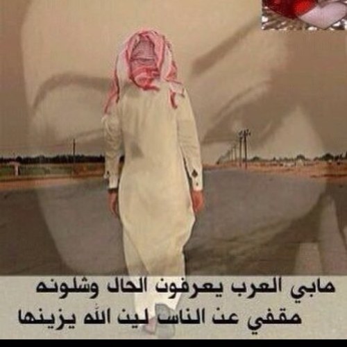 ' مـا أبـيـك بالقـووة ولا أبـيـك بـالـطـيـب . . أبـيـك على كيـفـك تـحـس وتـجـيـنـي