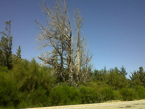 juansozapollman's profile picture. Magister Ingenieria industrial y sistemas ingeniero (e) informática
Profesor Business Intelligence
30 años de experiencia laboral como jefe departamento sistema