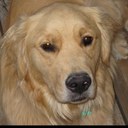 Audrey Small - @assmall - Twitter