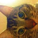 Beth MacLellan - @bethmacl - Twitter