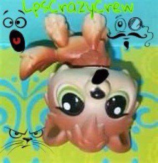 this is LPS Crazy Crew.this is an lps club made by @karen10735 if you wanna join the club follow us .leaders:@lpscrazycrew @Epicness54 @katniss15kelly :D