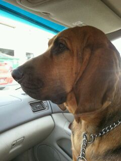 Dadof2OU's profile picture. 