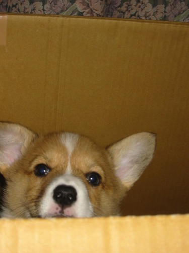 MLG48016's profile picture. たくさん美味しいものを食べて
新店舗を出される方、絶対に店舗を軌道にのせる方法（1年以内に）
資金と店舗条件のバランス、新メ－ニュ－開発（女性向け、家族向け）
かなり悩まれているかと相談にのります。
ﾎ-ﾑﾍﾟ-ｼﾞにｱｸｾｽください。（ｺﾒﾝﾄ欄）　ｱﾄﾞﾚｽを入れておいてください。無料で相談にのりますよ.