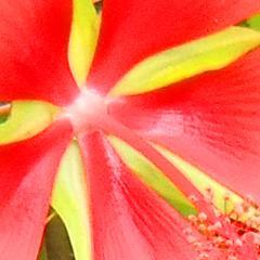 好奇心と問題意識で生きています。最近は、東南アジアの情勢に関してつぶやくことが増えています。