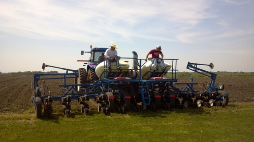 hnoel78's profile picture. 