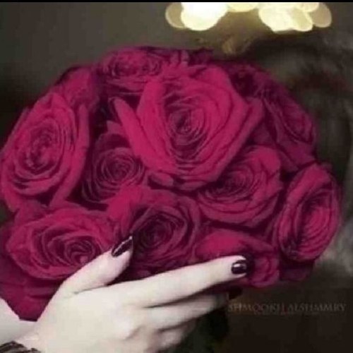 أنا عاشقه متطرفه ،، ﻻ أعرف اﻻعتدال وﻻ الوسطيه ،، عشقي تملك وغيره ،، وجنوني جامح ،، مهره متمرده ،، ﻻ يروضها سوى فارس عنيد