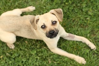 RobandPaulette's profile picture. Certified Kitchen and Bath Designer - Supervisor of Kitchen, Bath, and Appliances at the Home Depot 1030