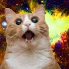 SexMonkeyz's profile picture. splitting rillos and bootyholes.