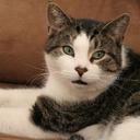 Devon Bauer - @DevonLBauer - Twitter