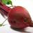 The Bloody Beet
